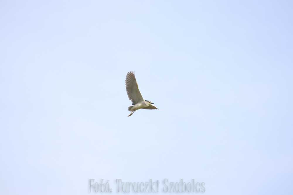 img-2751-2