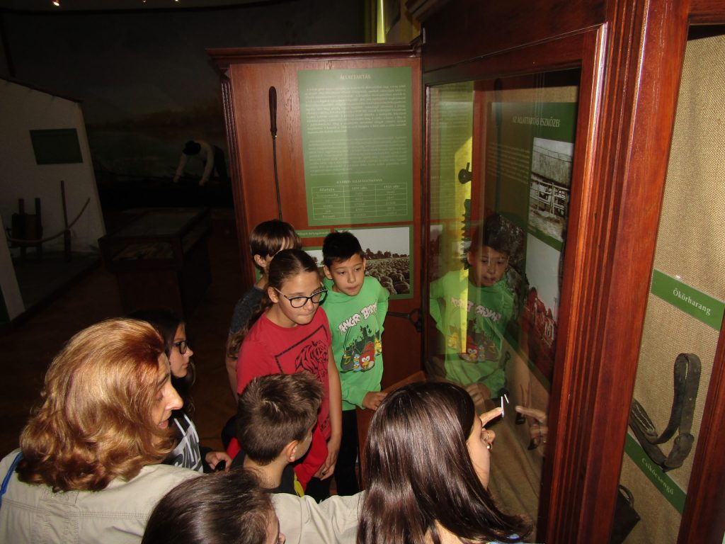 img-2755-scaled-5