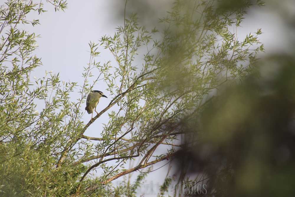 img-2759-1