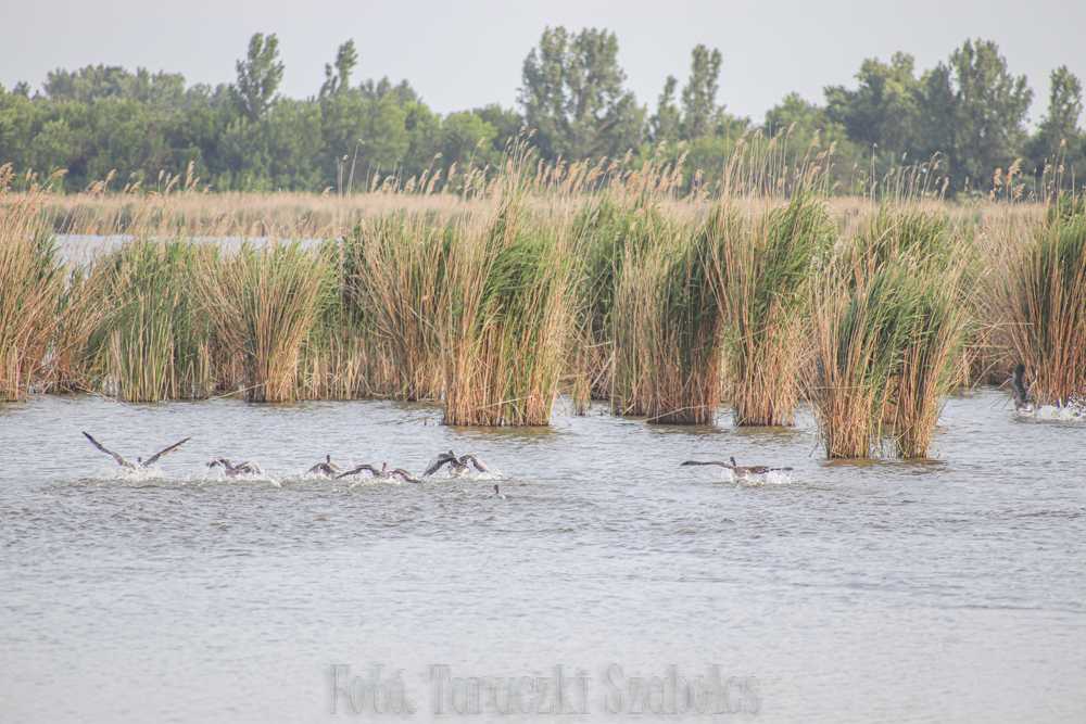 img-2782-1