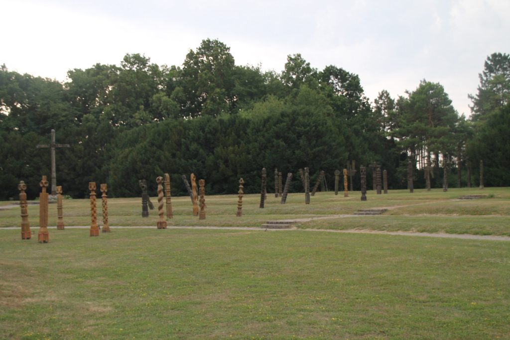 img-2816-scaled-3