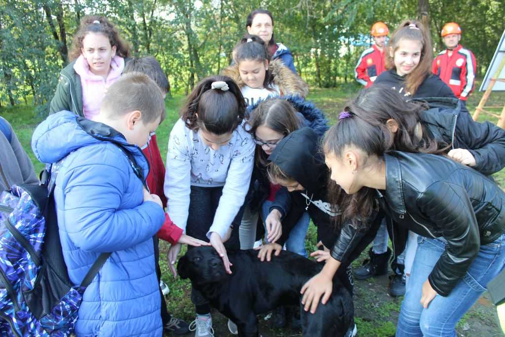 img-2818-1