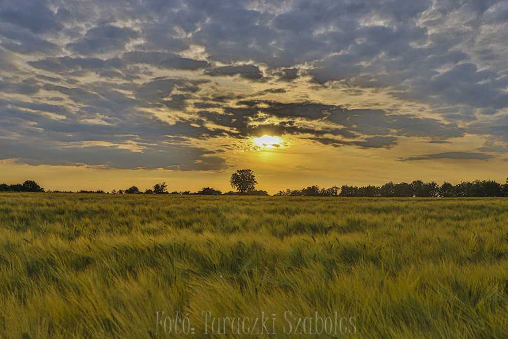 img-2874-1