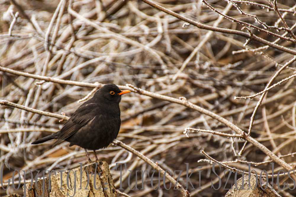 img-2883-2