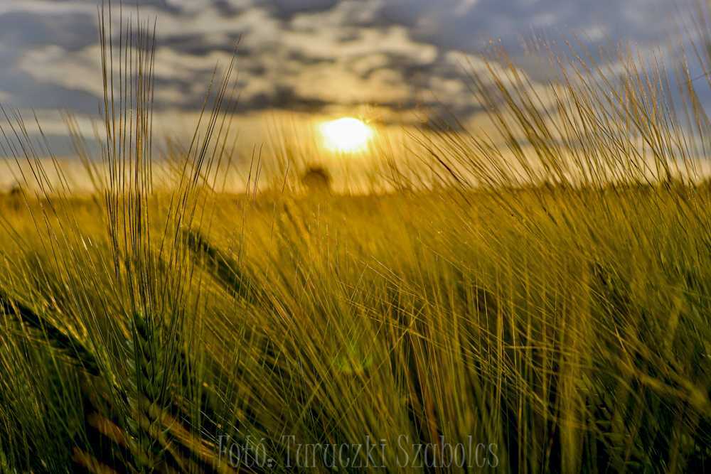 img-2884-4