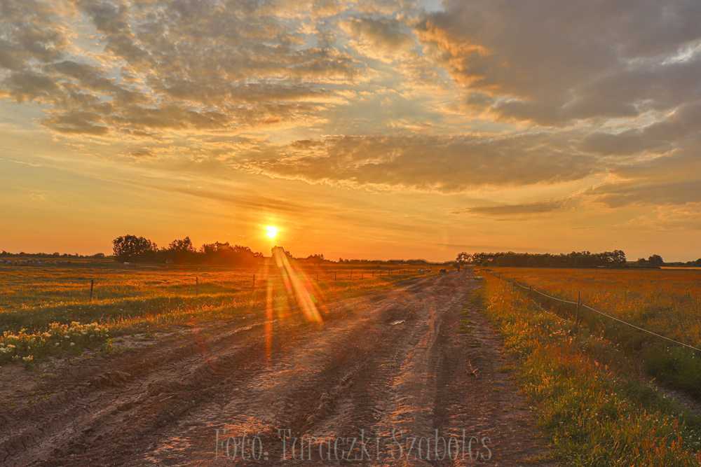 img-2886-1