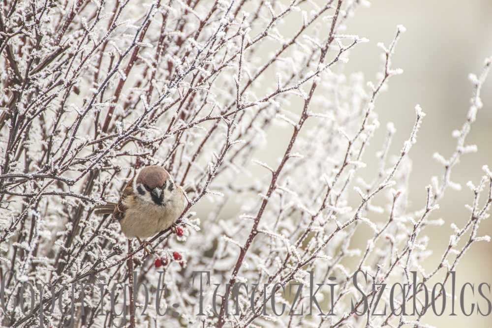 img-2908-3