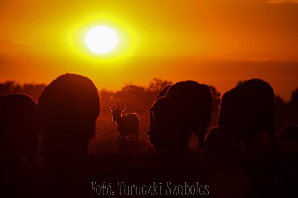img-2908-5