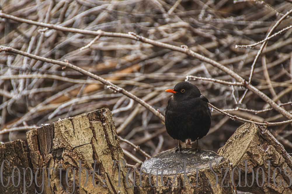img-2926-2