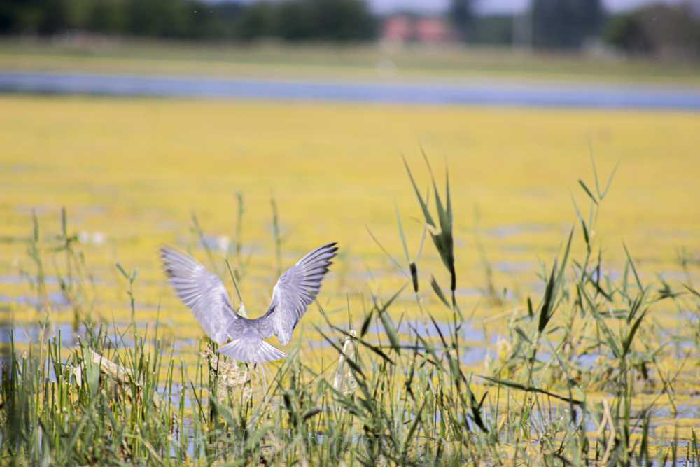 img-3121-1