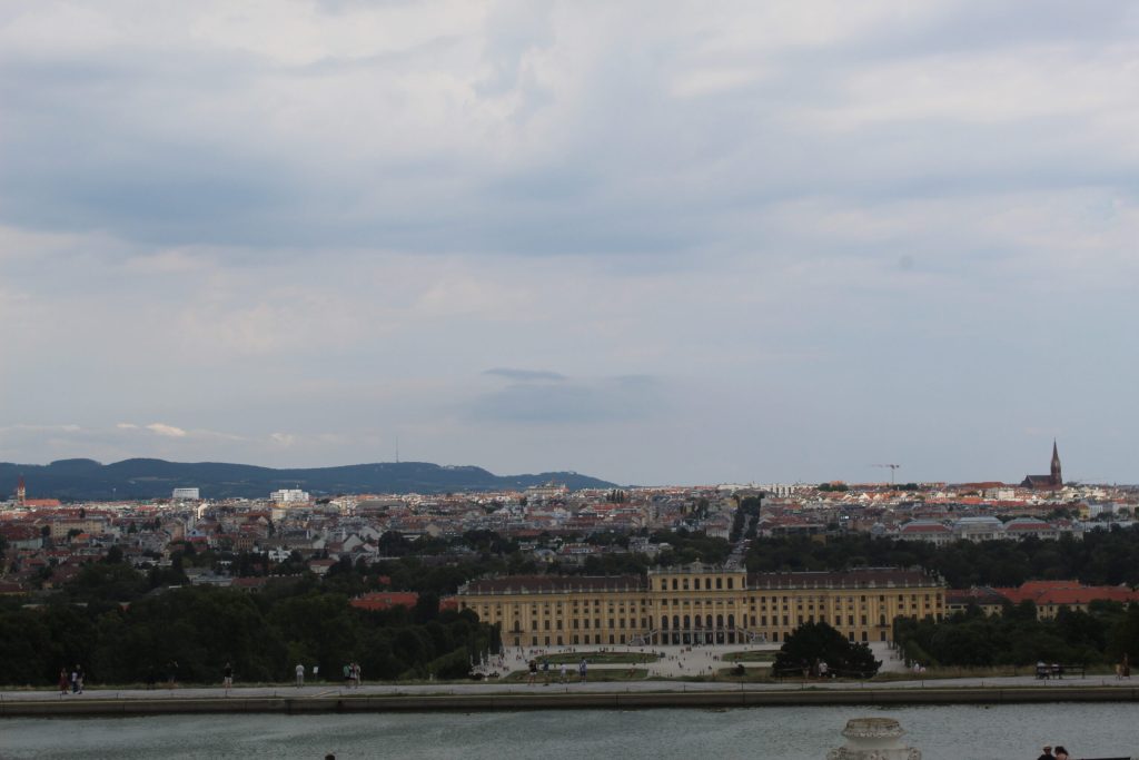 img-3236-scaled-1