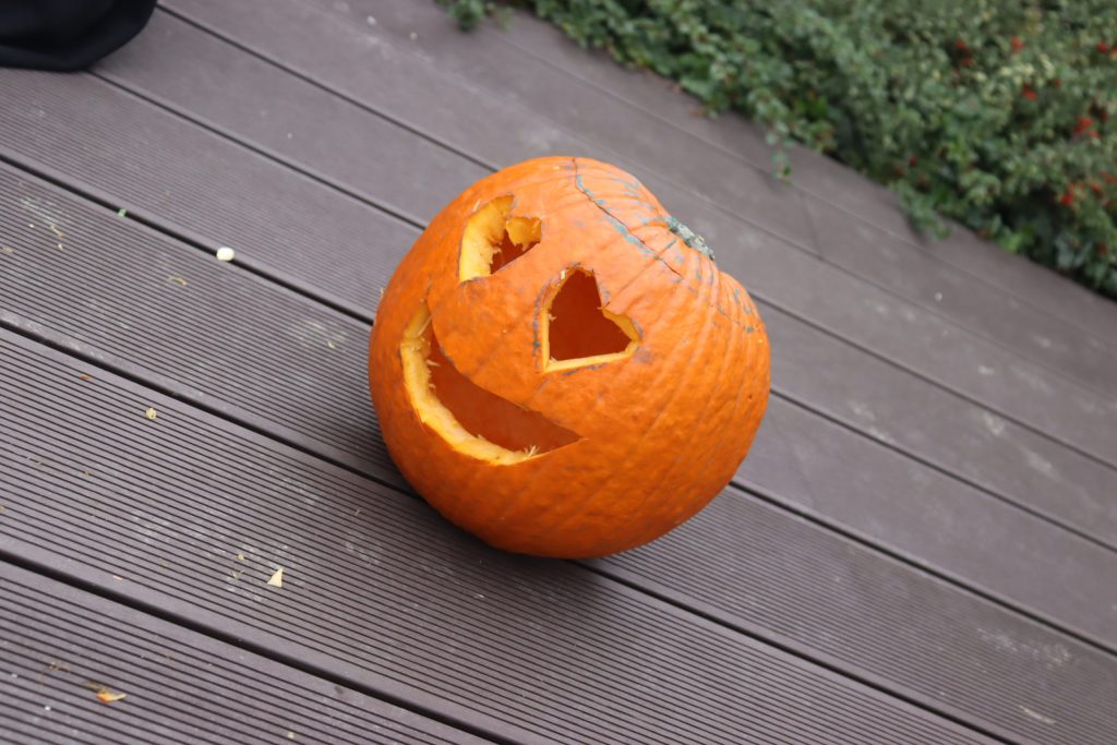 img-3308-scaled-2