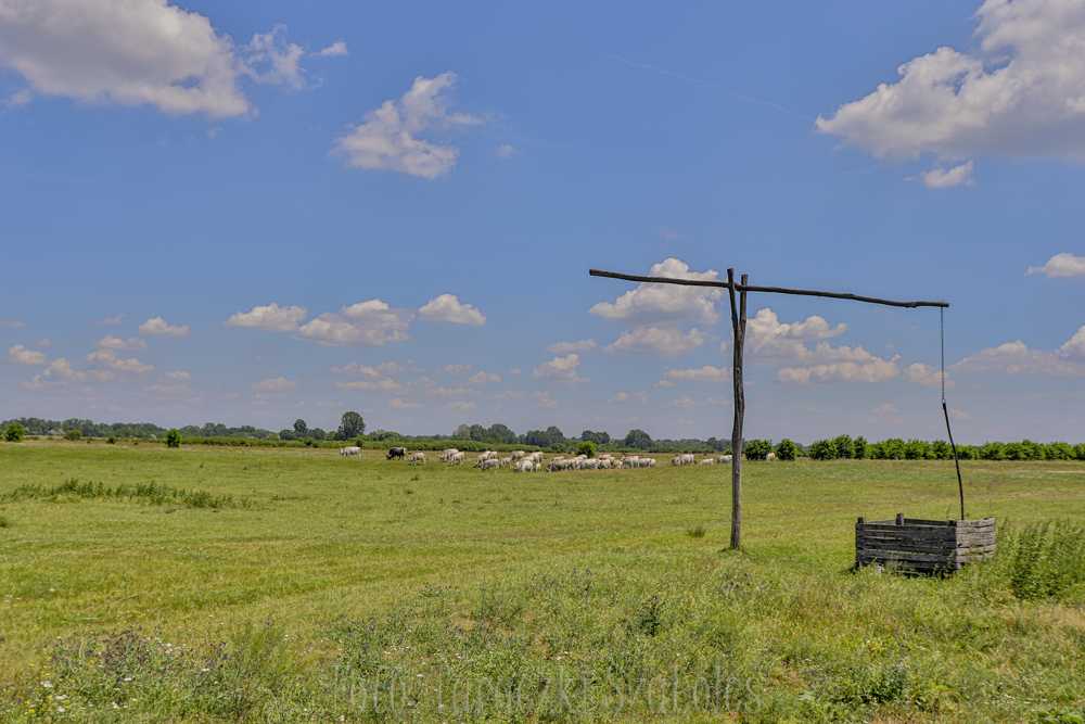 img-3352-1