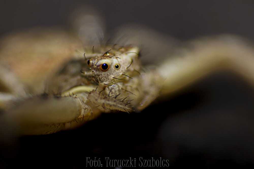 img-3354-1