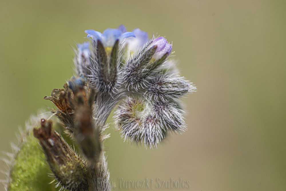 img-3374-2