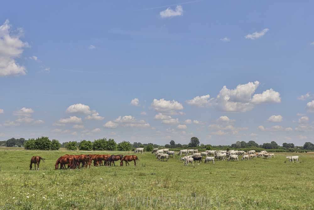 img-3383-10