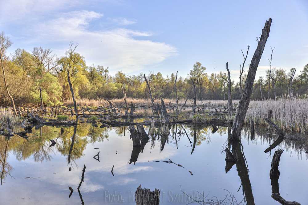 img-3394-2