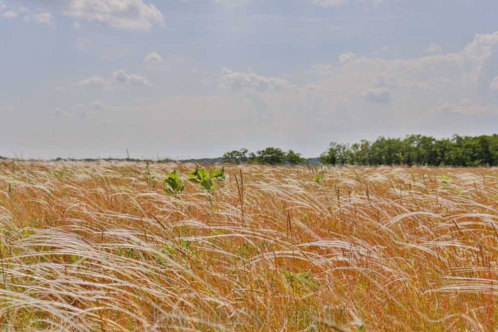 img-3494-1