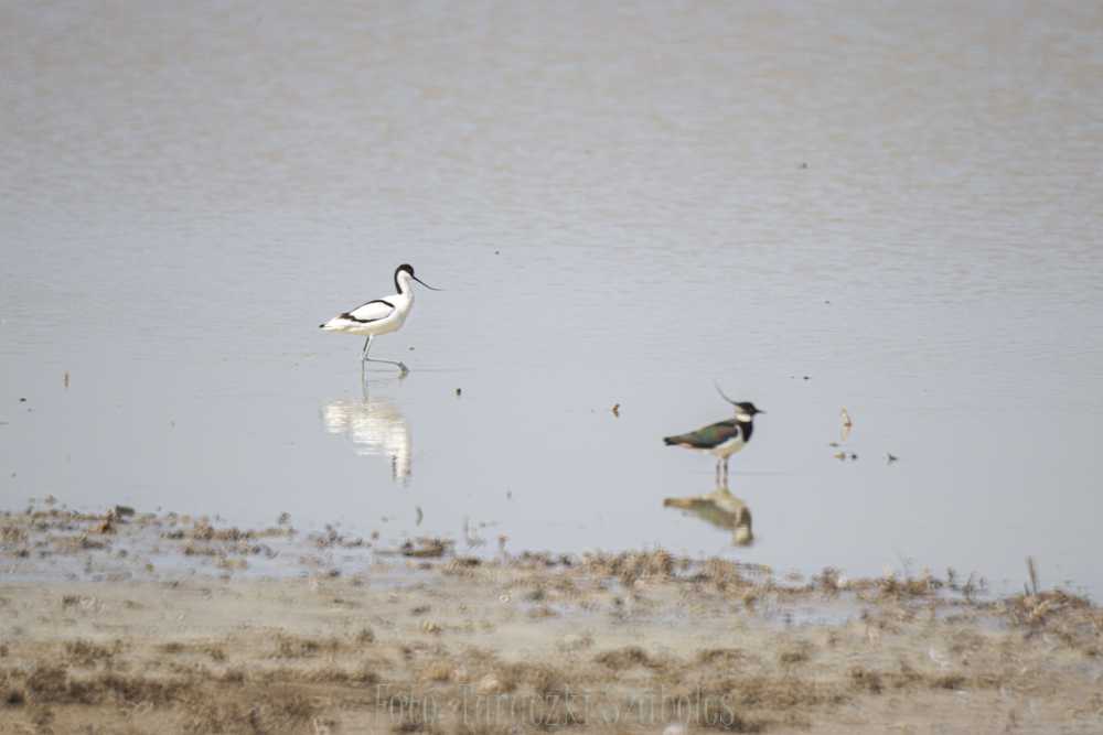img-3618-2