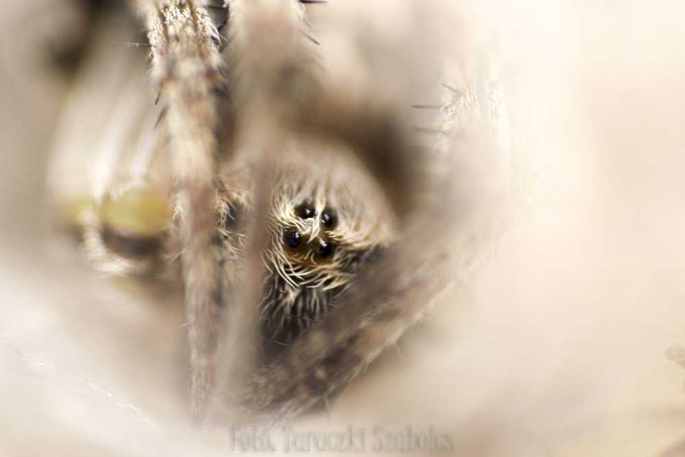 img-3730-2