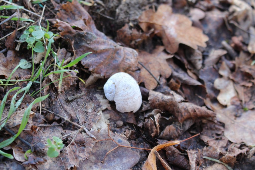 img-3818-scaled-4
