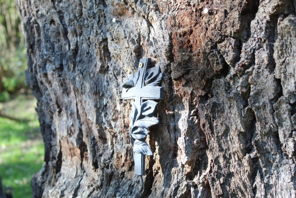img-3862-scaled-3
