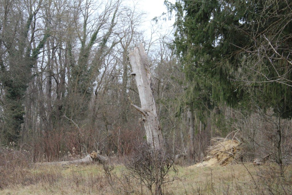 img-3922-scaled-2