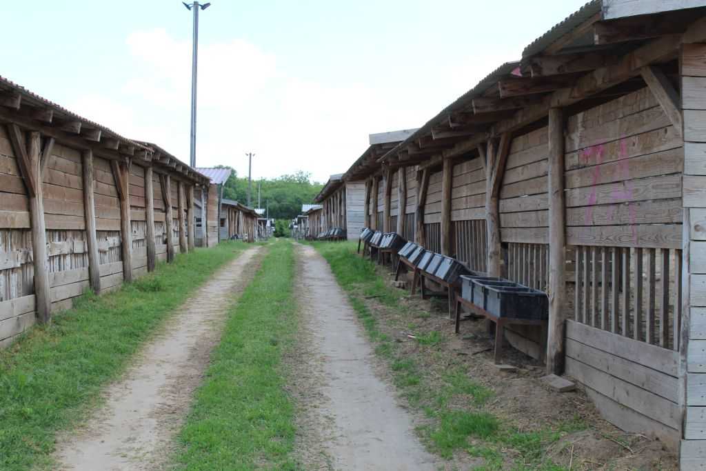 img-3926-1
