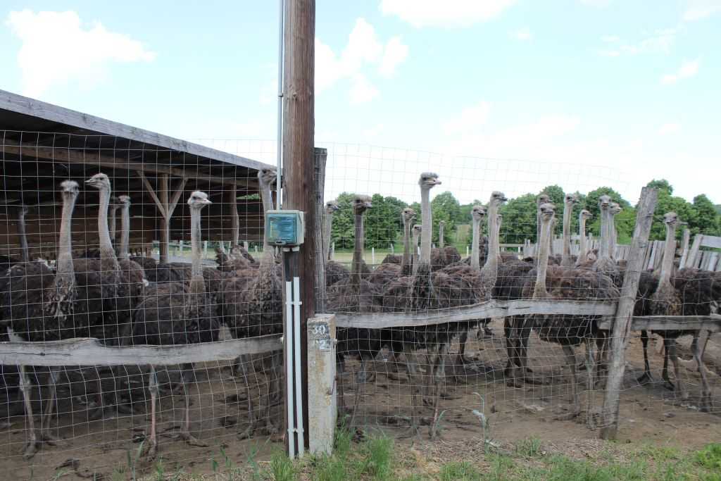 img-3930-1