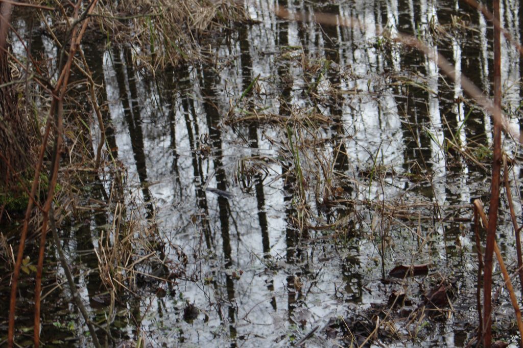 img-3930-scaled-2