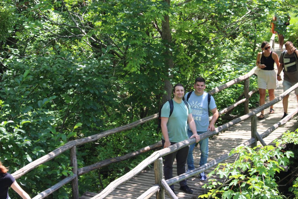 img-3977-8
