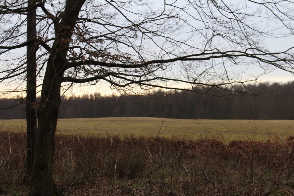 img-4012-scaled-2
