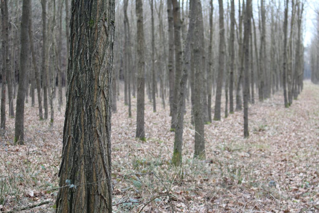 img-4022-scaled-2
