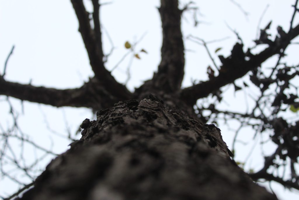 img-4166-scaled-3