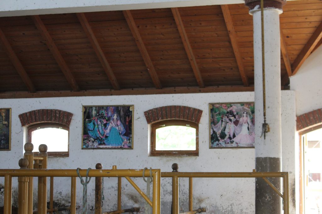 img-4369-scaled-2