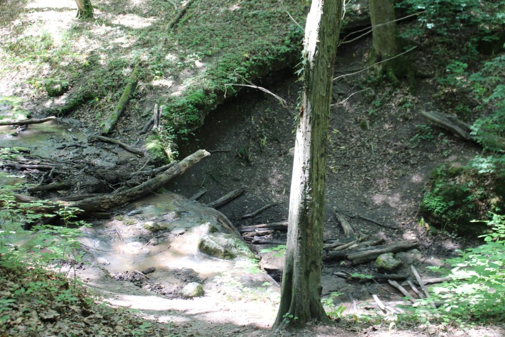 img-4550-scaled-2