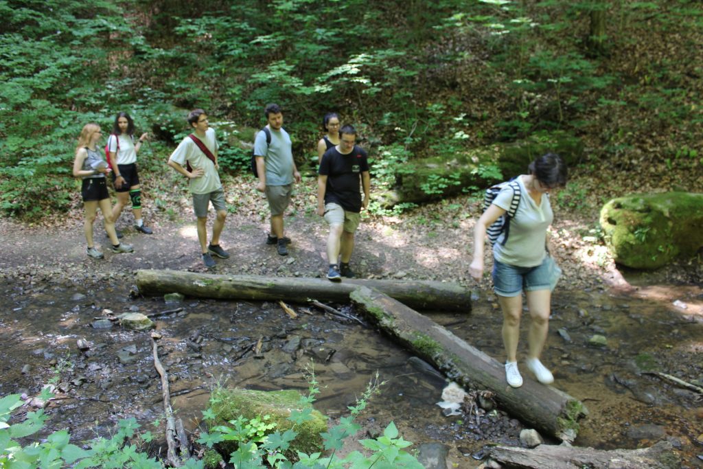 img-4619-scaled-2