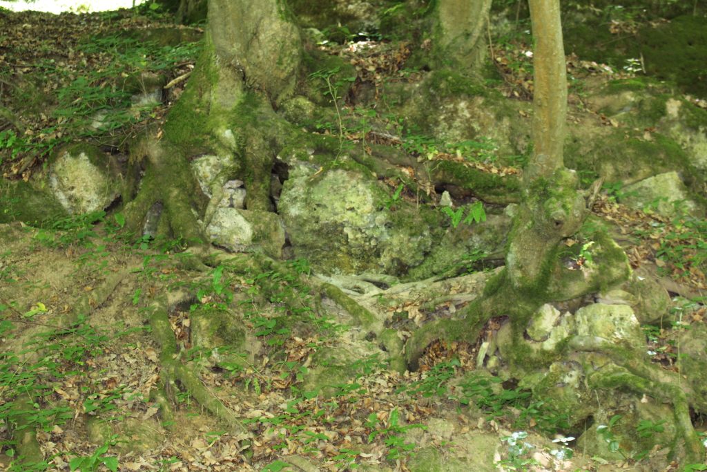 img-4624-scaled-2
