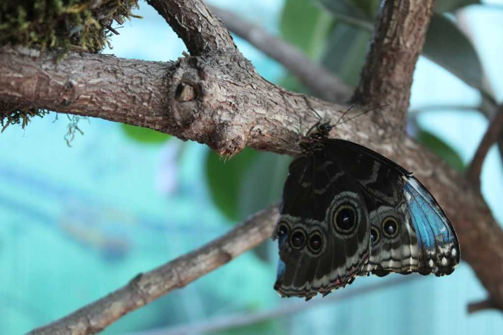 img-4831-2