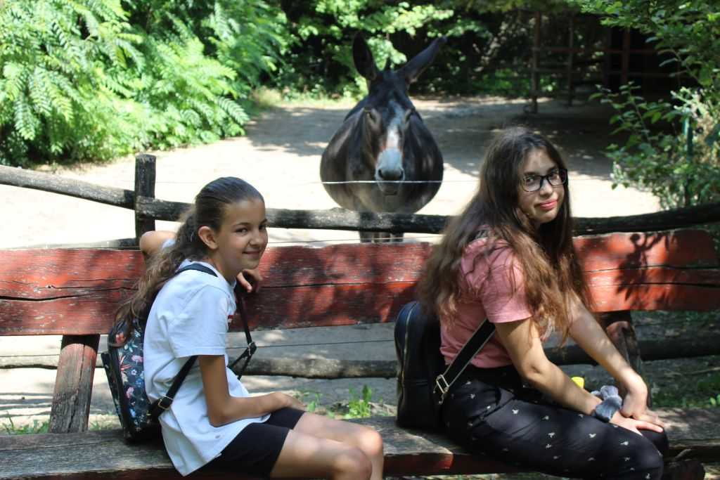 img-4893-2