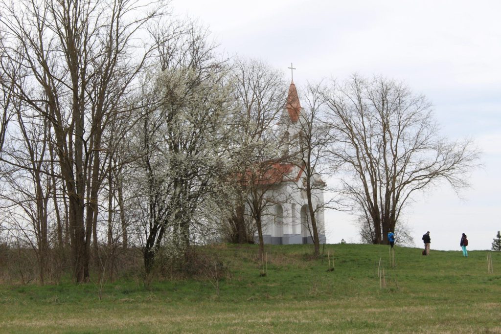 img-5140-scaled-3