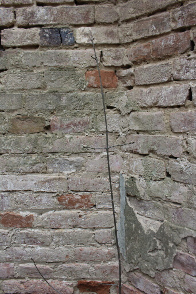 img-5334-scaled-1