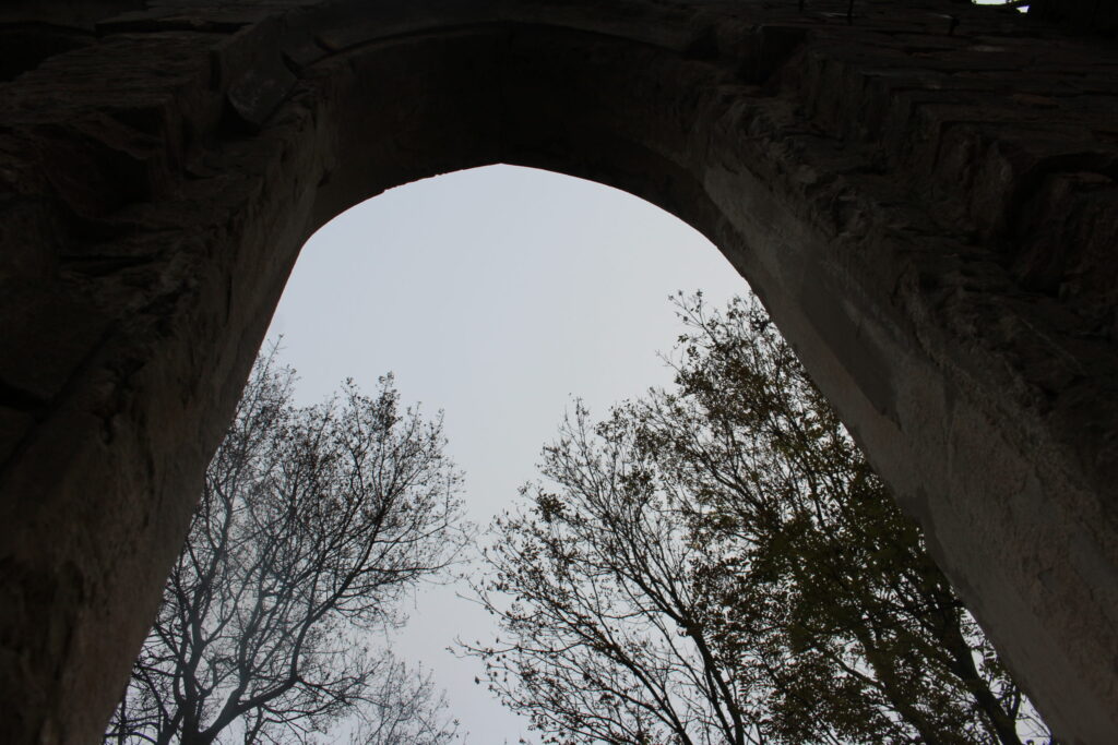img-5363-scaled-1