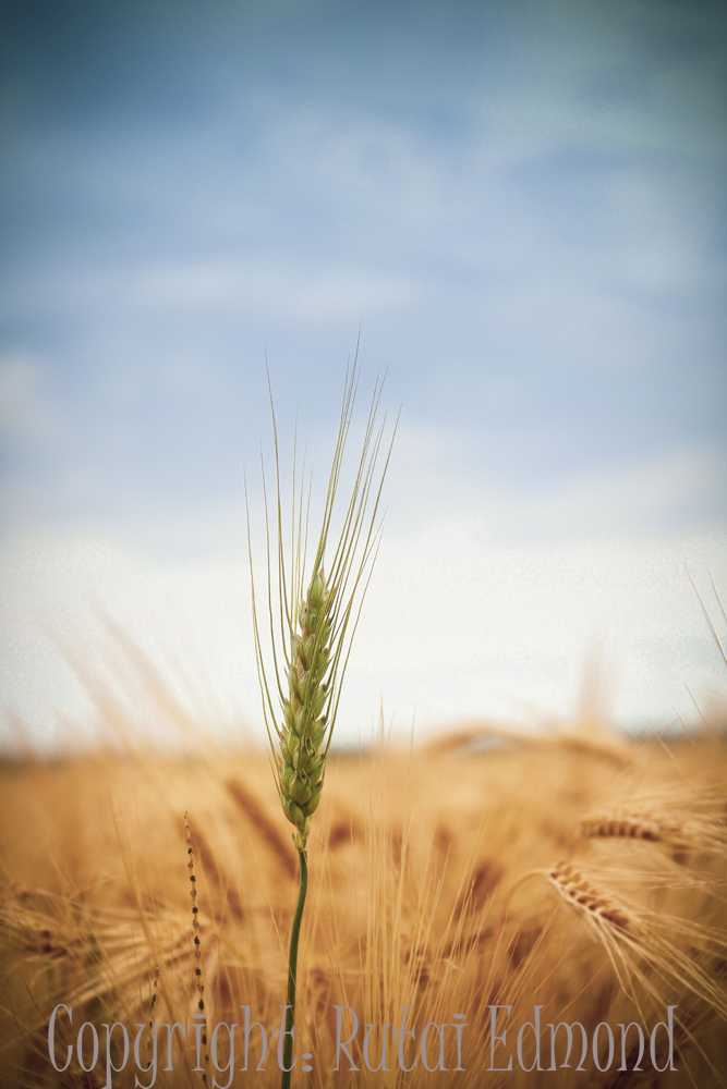 img-5404