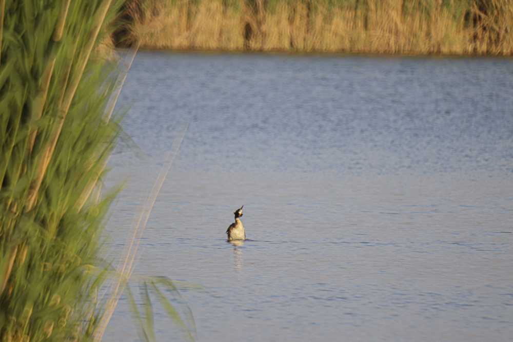 img-5646-1