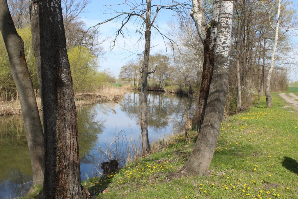img-5675-1