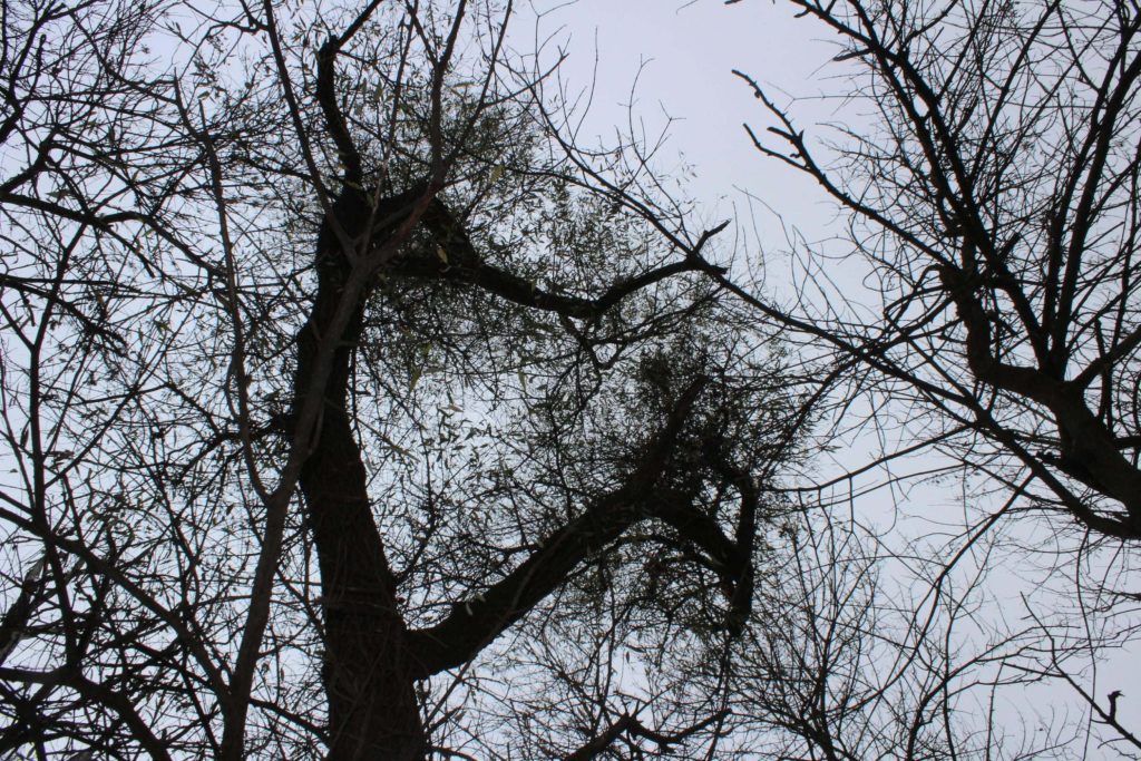 img-5718-scaled-3