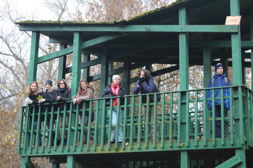 img-5756-scaled-2