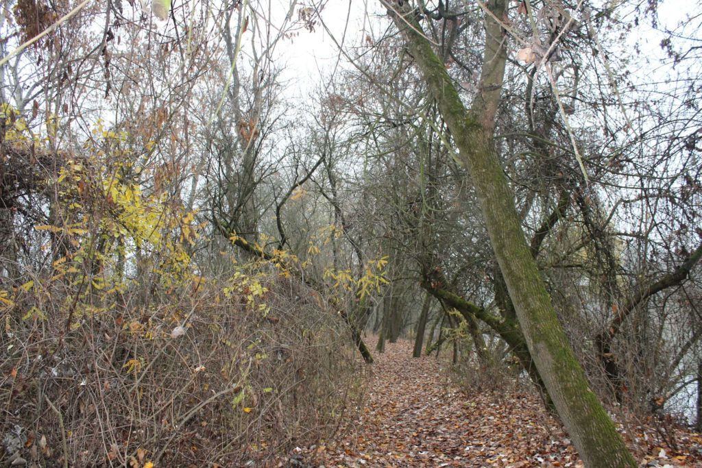 img-5770-scaled-4