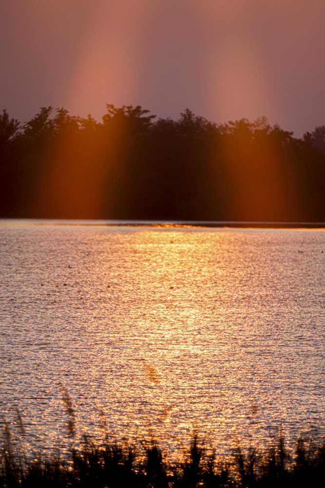 img-5771-1